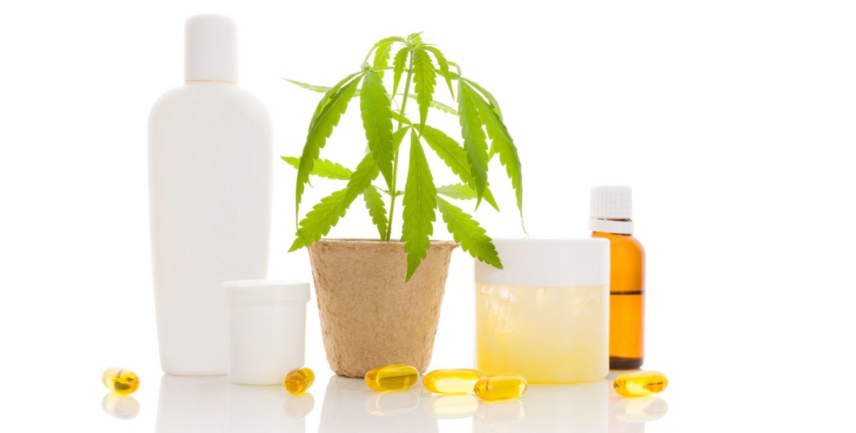 CBD Oil Bluebird 
      Botanicals Morristown 
      TN 37814